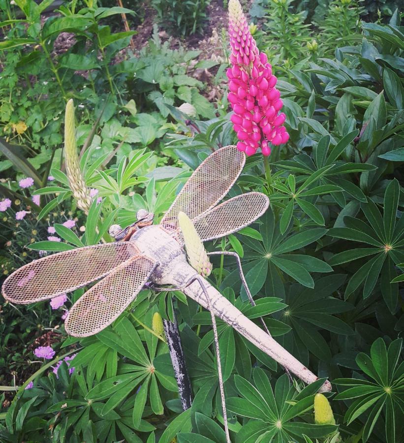 Dragonflycottagebnb Grovetown Exterior foto